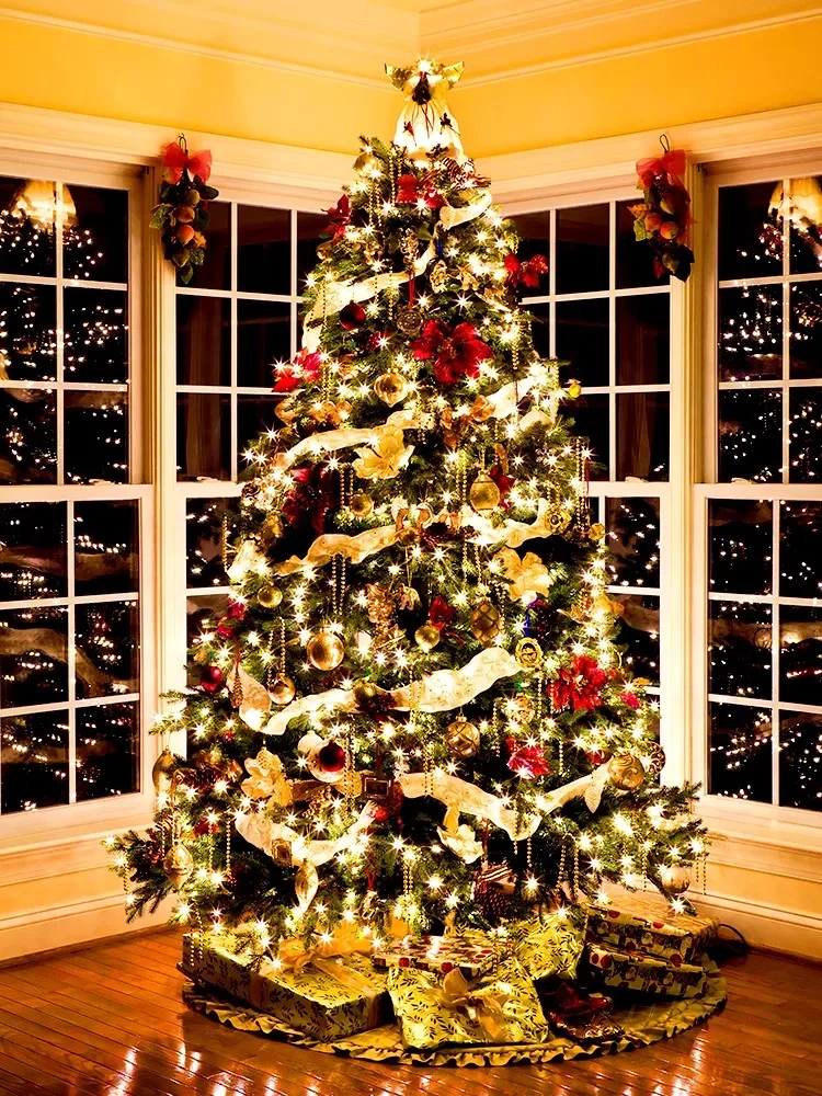 Christmas Tree Home 1.5-meter Luxury Encrypted Package Scene Decoration Small Section 1.2 Christmas Decorations