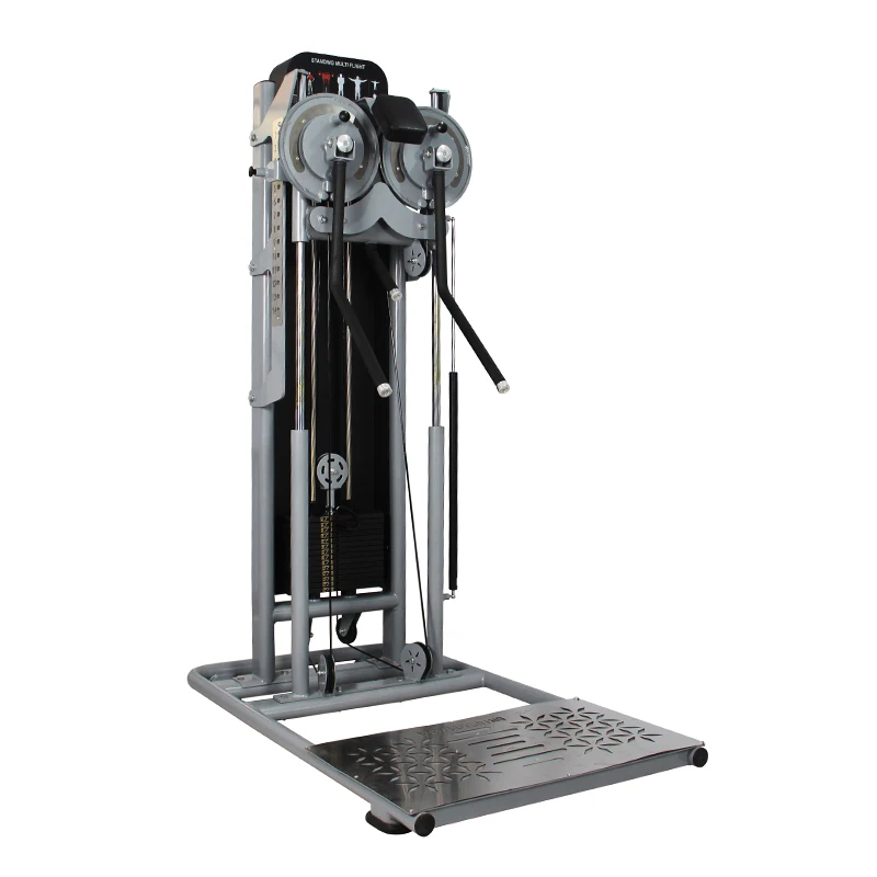 

Gym Fitness Equipment Standing Lateral Hoist Double Arm Work Machine Side Delt Machine
