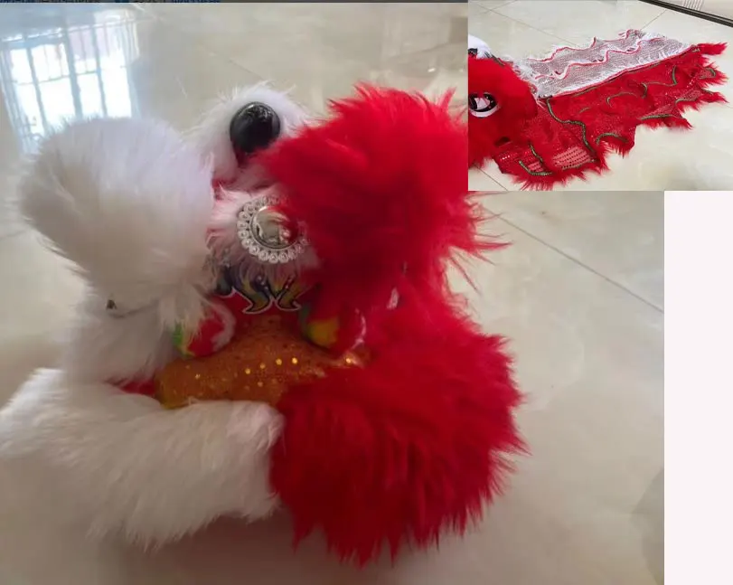

customized 14 inch Lion Dance Costume 5-12 Age Kid Boy Girl Party Sport Park Game Outdoor Even Mascot