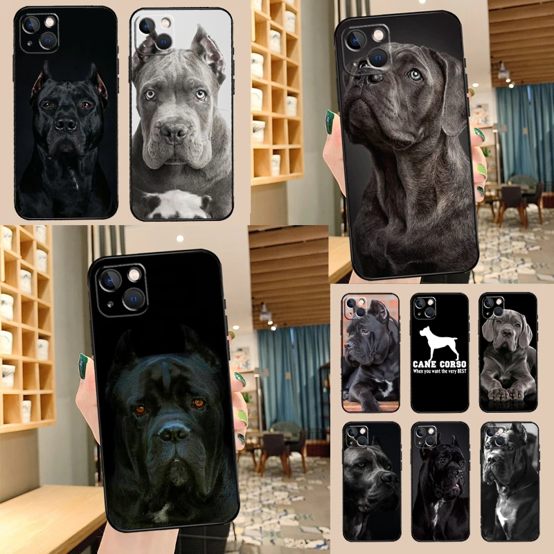 Italian Cane Corso Mastiff Dogs Case For Samsung Galaxy A54 A16 A26 A36 A56 A53 A32 A52 A33 A13 A55 A35 A15 A14 A34 A17 A57