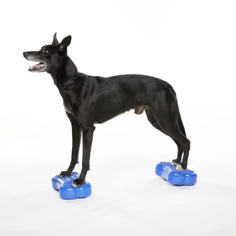 Mini Training Waterproof Fiber Supplies Small Training Assist