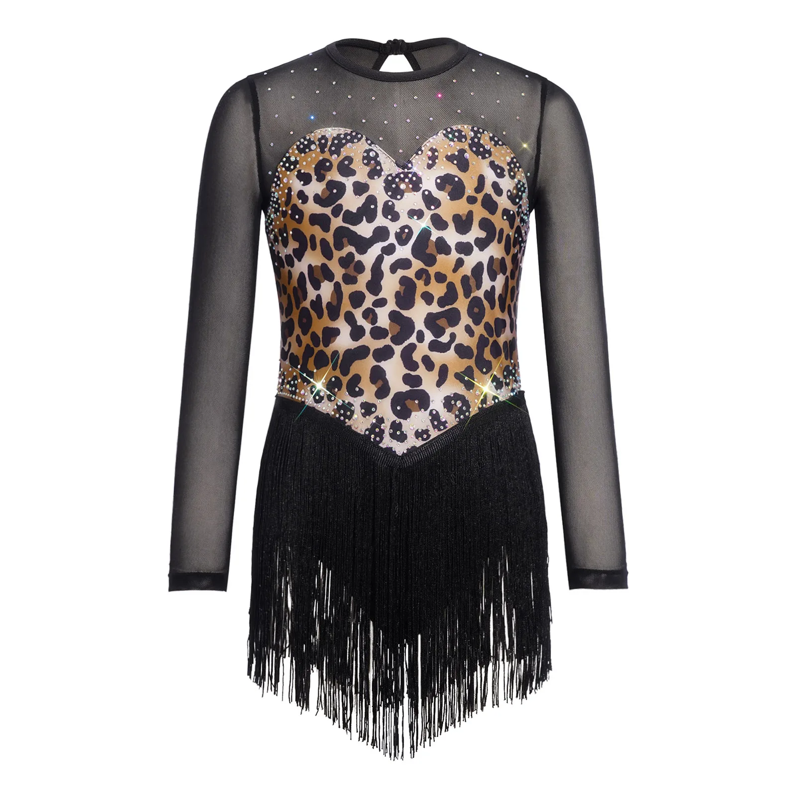 Kids Girls Tassel Latin Dance Dress Mesh Long Sleeve Leopard Print Fringe Leotard Jazz Samba Rumba Tango Competition Dancewear view 3