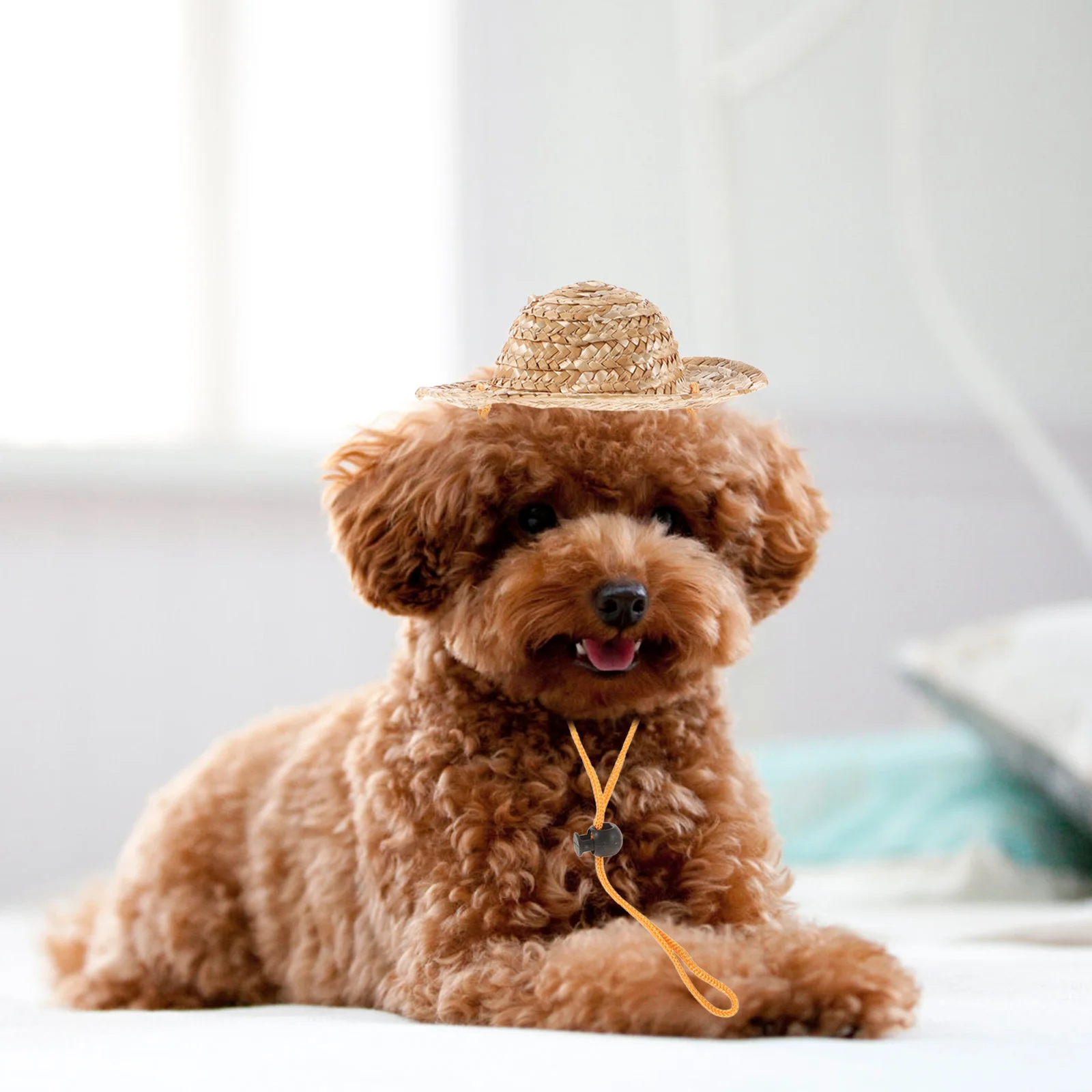 

Pet Sun Hat Protection Hats for Dogs Bucket Puppy Puppies Stray Small Straw Mini