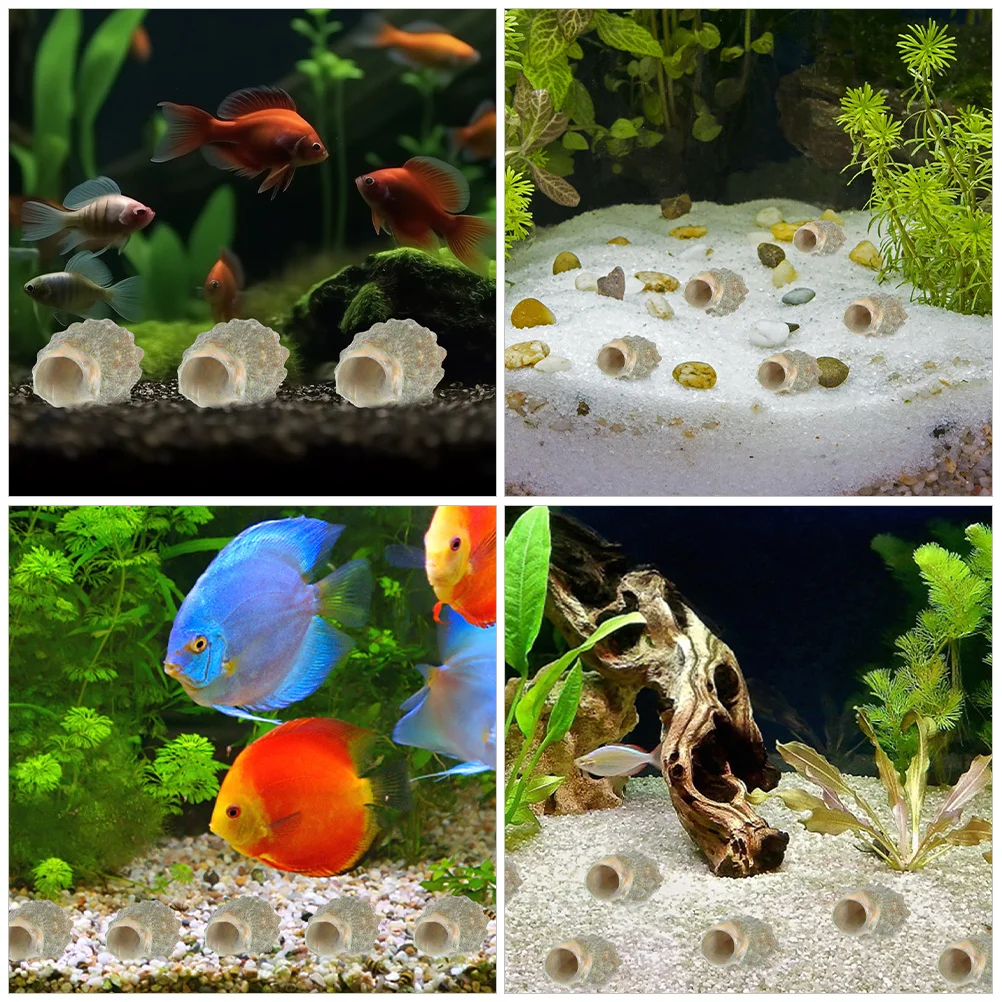

100Pcs Natural Conch Shells Decor for Aquarium Fish Tank Landscape Snail Decoration DIY Seashell Adorn Exquisite