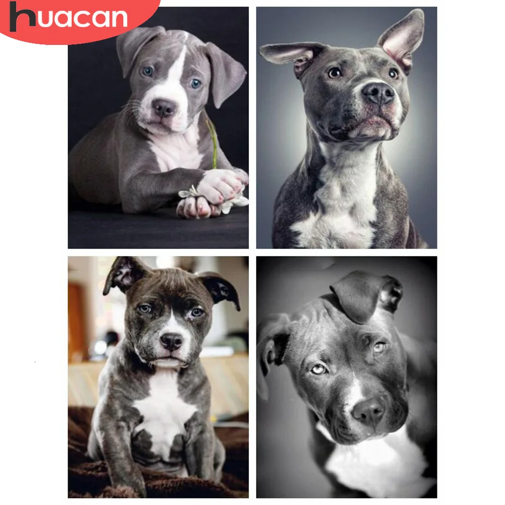 

HUACAN 5D Diamond Painting Full Square Dog Picture Cross Stitch Needlework Embroidery Animal Rhinestone Painting Decoration