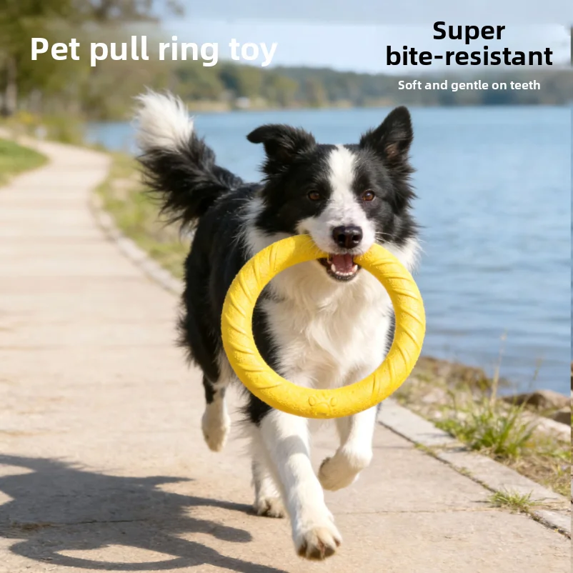 

Pet Entertainment Toy Dog Frisbee Bite Resistant Dog Toy Can Bite Grinds Teeth Pet Ball Large Pull Ring
