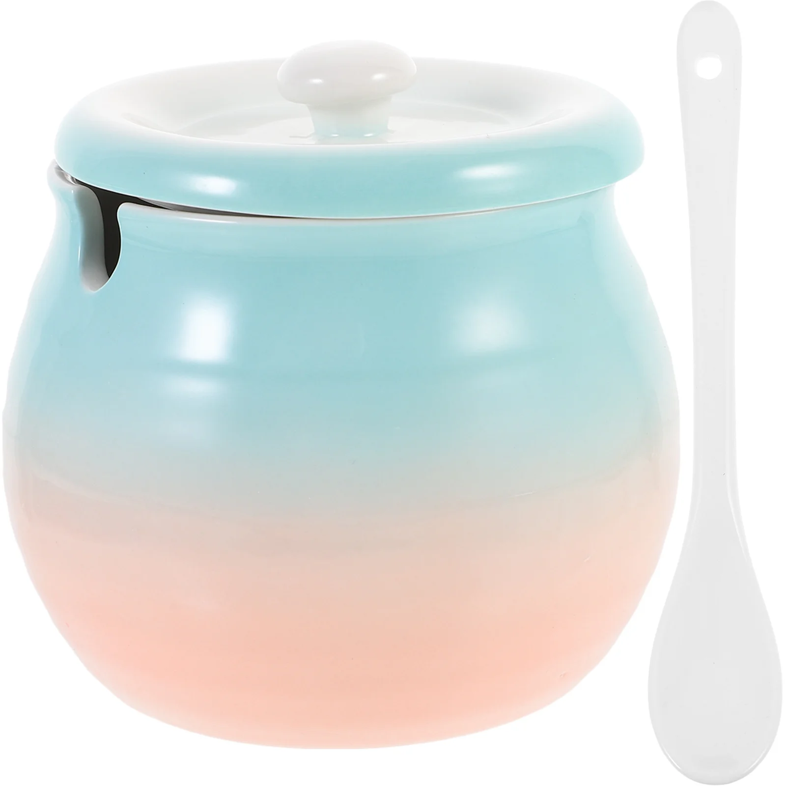 

Ceramic Storage Jar Set of 1 Condiment Canister for Tea Chili Powder Curry Sugar Salt Kitchen Pantry Organization Decorative