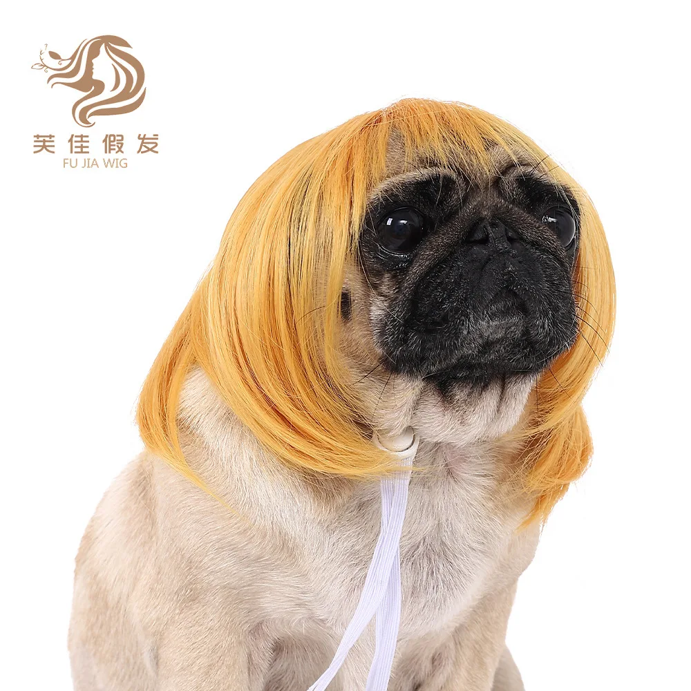 New Pet Wig Cat and Dog Universal Supplies Halloween Pet Accessories Cute Straight Hair Bobo Head