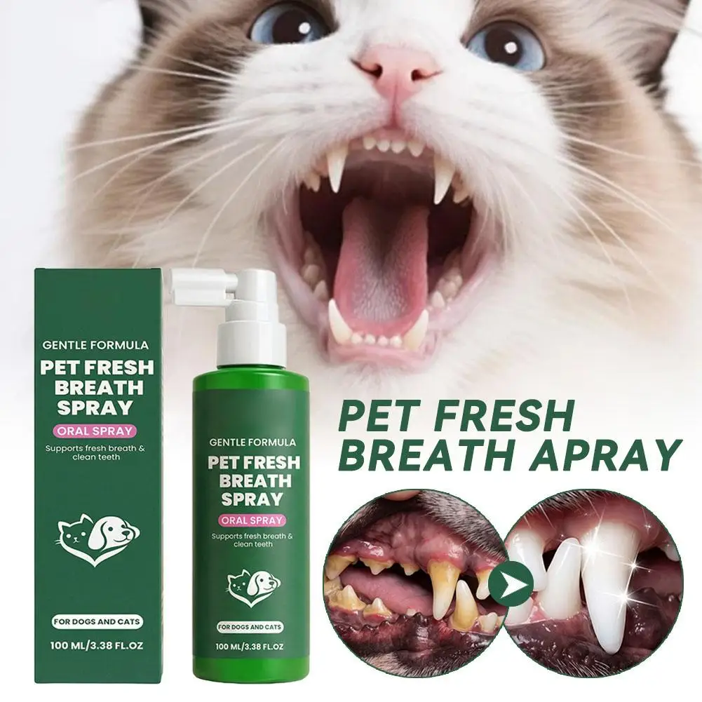 Spray seguro para limpieza bucal de mascotas, sin cepillo, para perros y gatos, limpieza dental, spray para aliento fresco instantáneo, para cuidado de las encías y sarro, suministros para mascotas