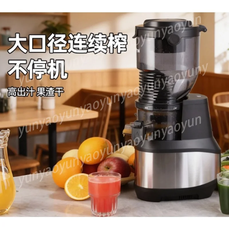 Slow Juicer Centrifugal Extractor, Fruit Vegetable Juice Separator with 2 Speeds