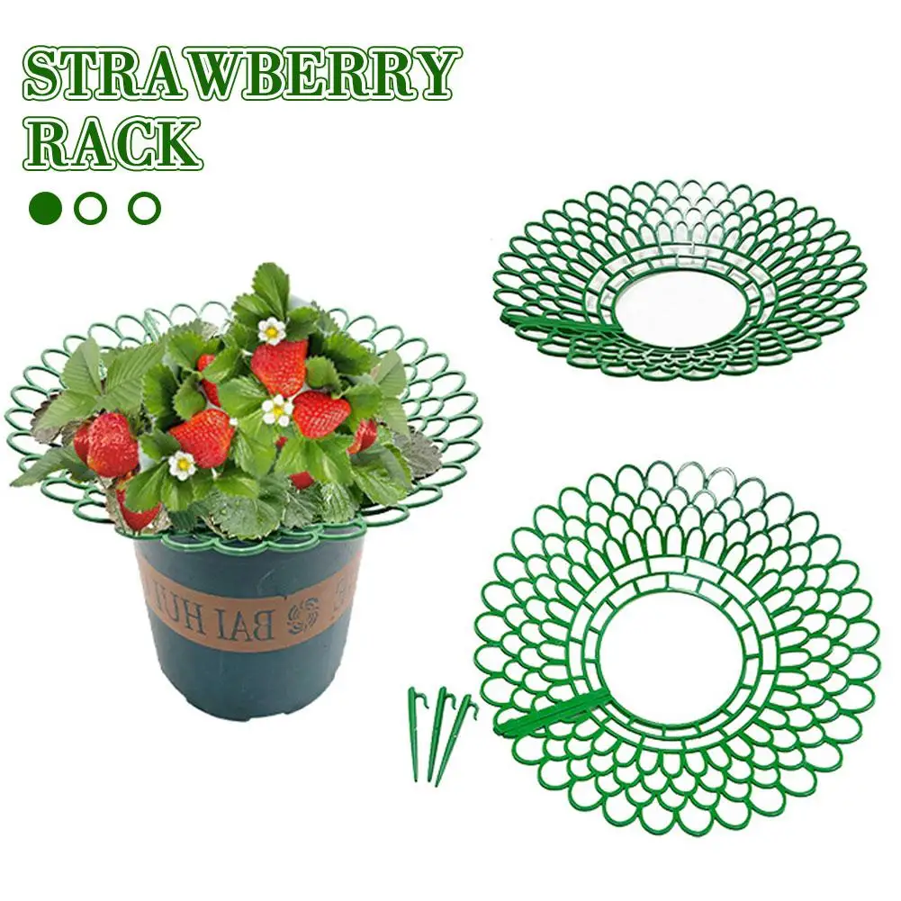 

10pcs Strawberry Plant Supports With 3 Sturdy Legs Growing Cage Strawberry Frame From Protector Rot Dirt Racks Mold Holder R1v4