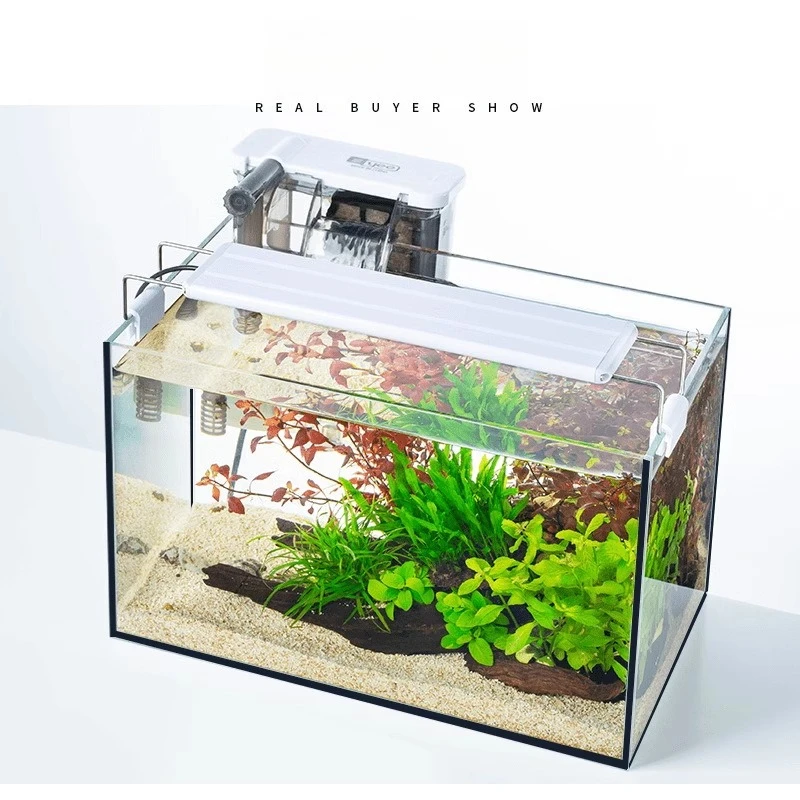 Ultra Clear Black-Edge Aquarium 4