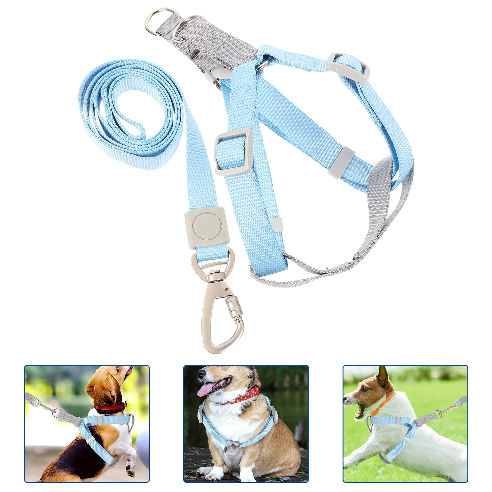 

Adjustable Dog Harness Leash for Small Dogs Lightweight Compact Polyester Outdoor Activities Training Walking Gear