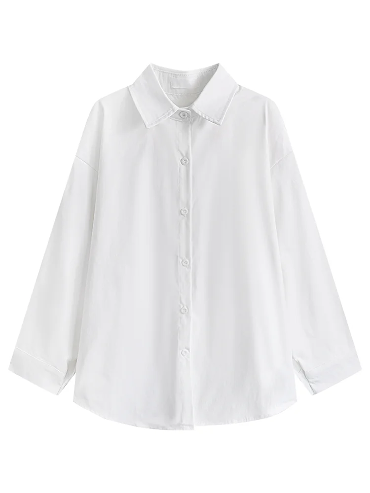 

Long Sleeve Shirts Womens Chiffon Buttoned Blouses Lantern Sleeves Pleated Hem Preppy Feminine Minimalist Retro French Style