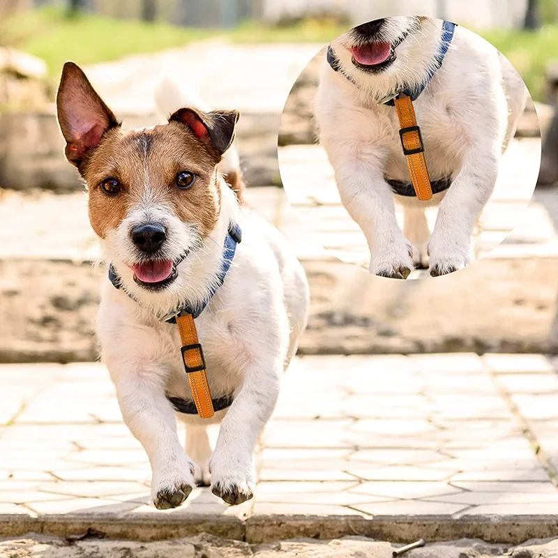 Verstellbare Doppelhaken-Reflektor-Hundeleinenverlängerung, Anti-Flucht-Hundegeschirr, verlängertes Seil, Nylon-Haustier-Autositzgurt-Verlängerung – Detail 4