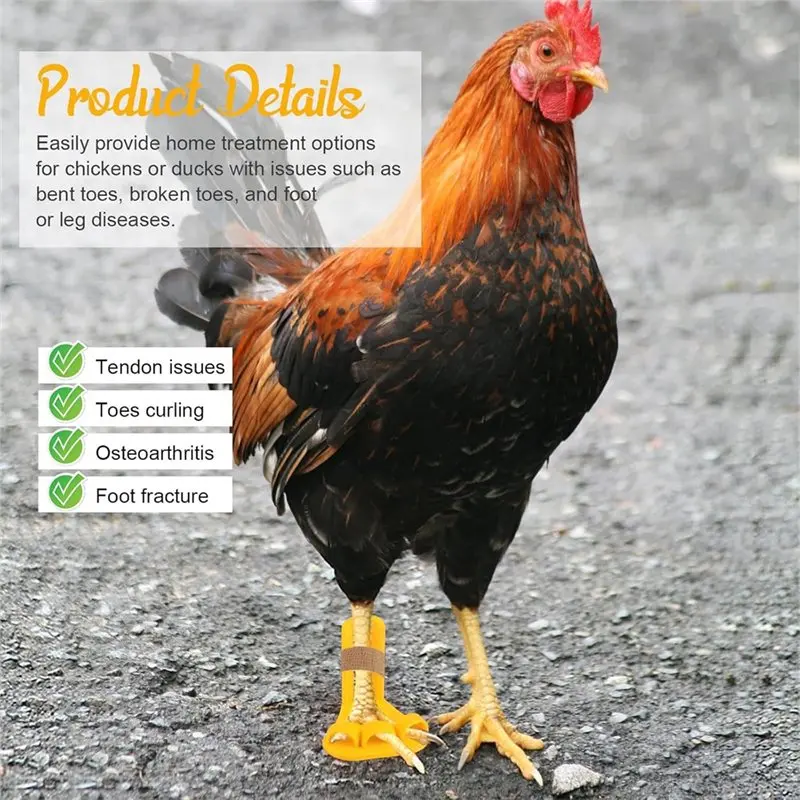 ALIM-For Fractures, Curled Toes,Osteoarthritis Treatment Poultry Leg Splint Set With Holes Bumble Foot For Chickens& Ducks