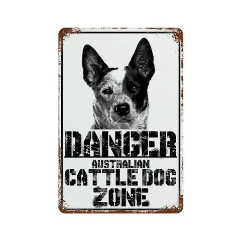 10 best sales Australisk nötkreaturshund - №2