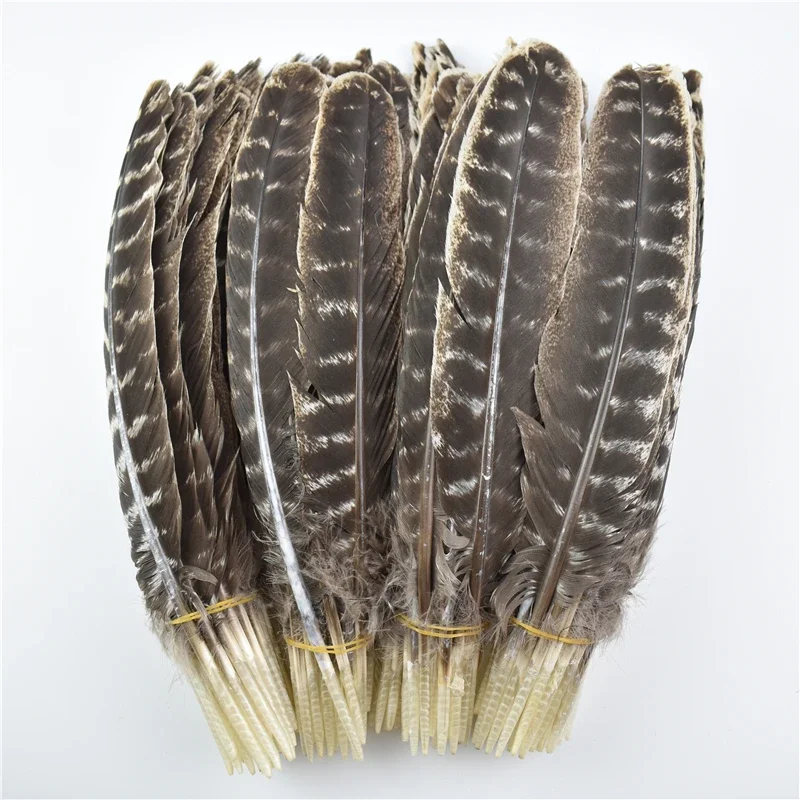 10Pcs Real Natural Turkey Feather Eagle Bird Feathers for Crafts Hats Birds Plumes Decor Carnaval Accessories Cintas Decorativas