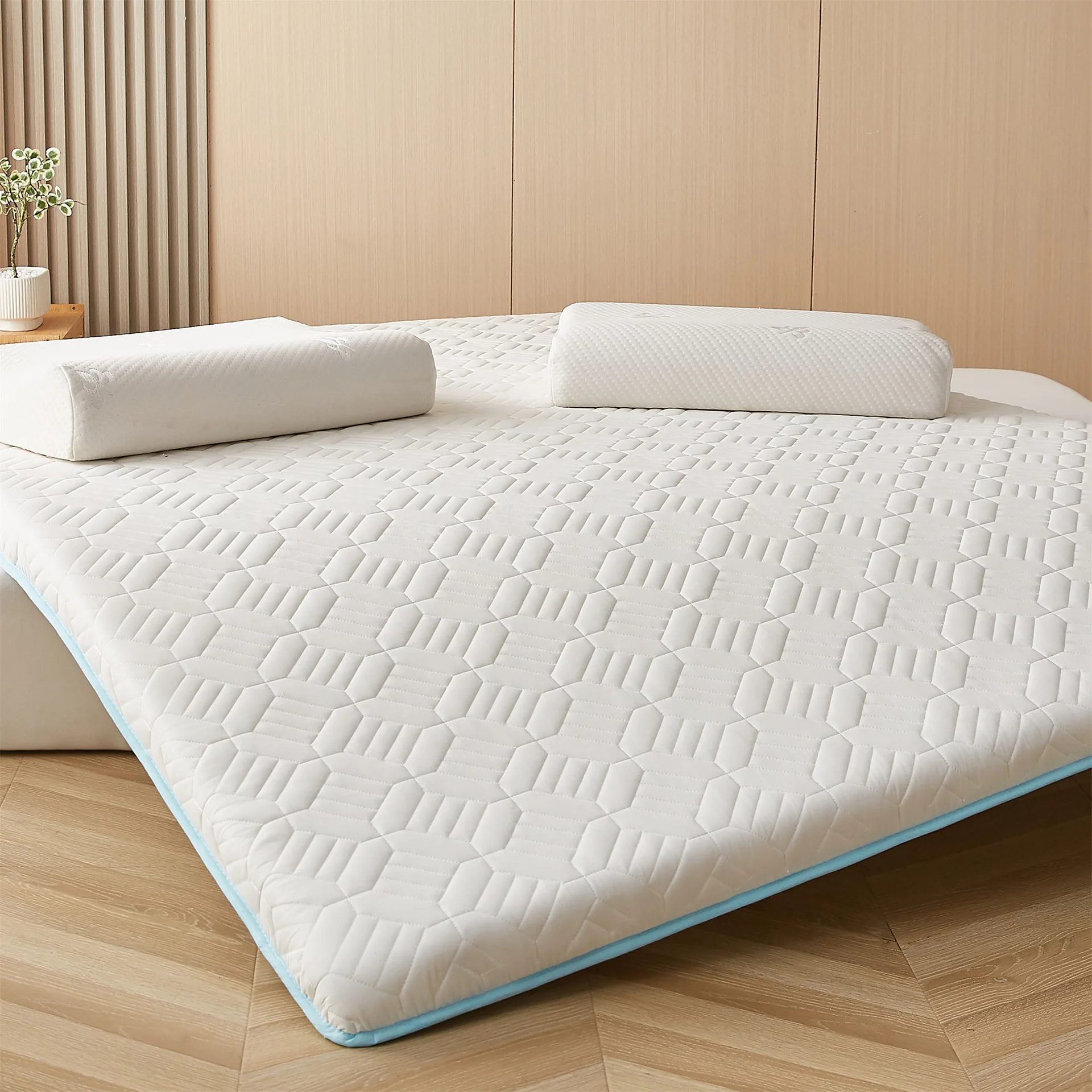 

Latex Mattress Thickened Household Rice Mattress Soft Cushion Tatami Sponge Pad Student Dormitory Single Bunk King Size Bed