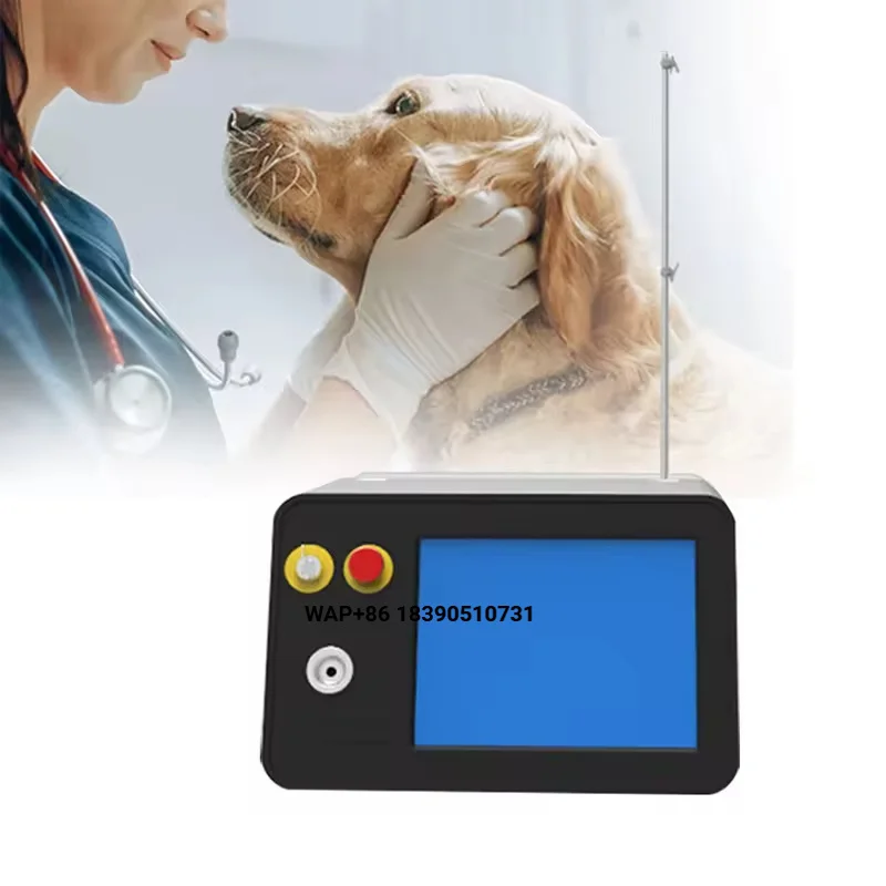Multifunctional VT101 980 Nanodiode Therapy Equipment Veterinary Dog, Cat and Horse Surgical Instruments 15W/30W