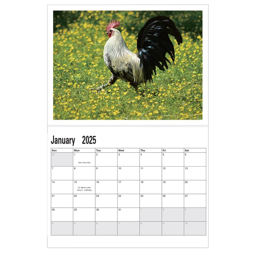 2025 Big Cocks Calendar, Vibrant Wildlife Photography, 12-Month Wall Calendar, Office & Home Decor, Animal Enthusiasts, Paper, E