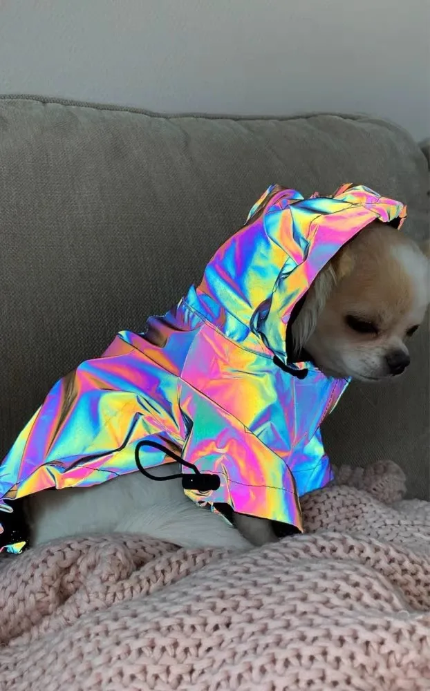 Reflective Design Outdoor Windproof Rainproof Dog Coat For Large Dogs Raincoat