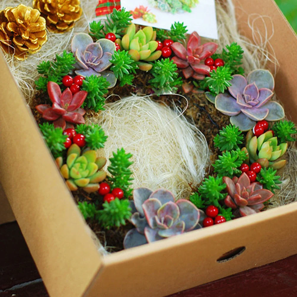 

Succulent Wreath Hook Planters Iron Hanging Planter Wall Flowerpot Home Office Bar Shop Studio Market Supermarket Long