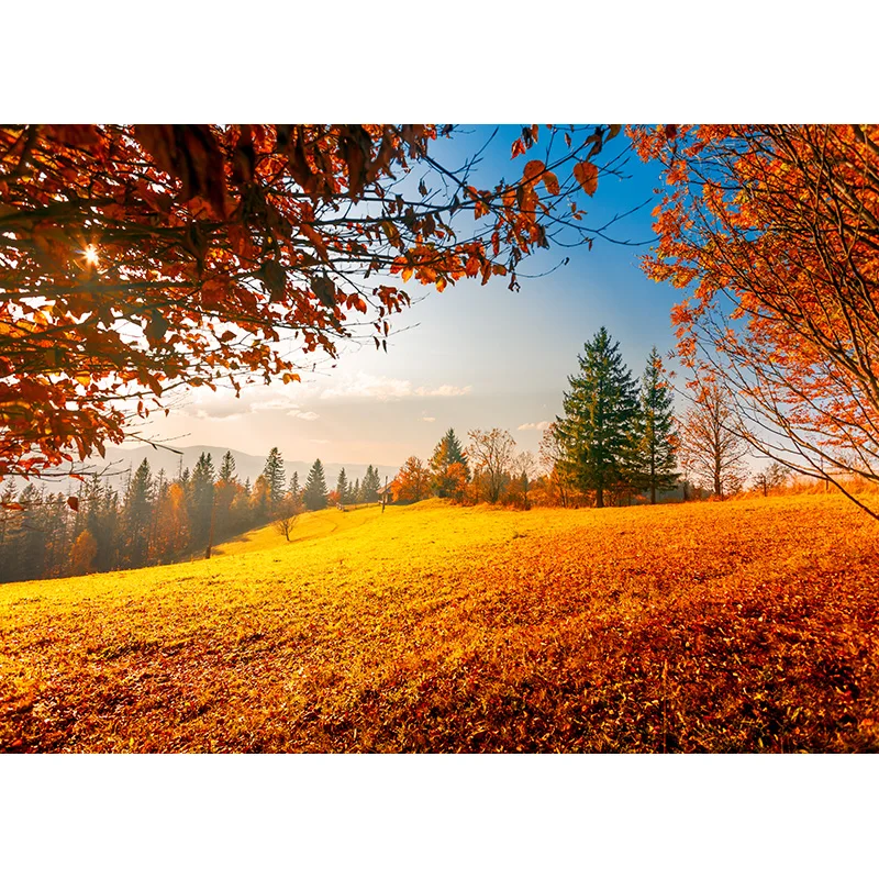 Green Forest Nature Scenery Photography Background Landscape Portrait Photo Backdrops Studio Props 21102 KKL-02