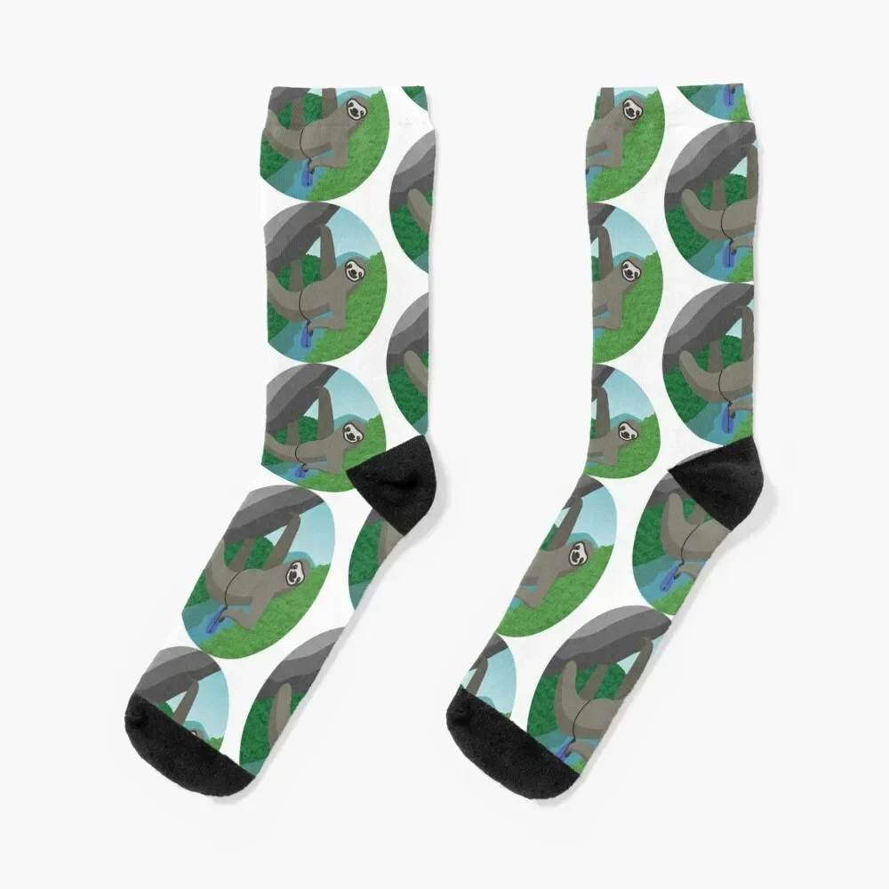 Rock Climbing Sloth | New River Gorge Socks cute christmas gifts designer winter Boy Child Socks Women's