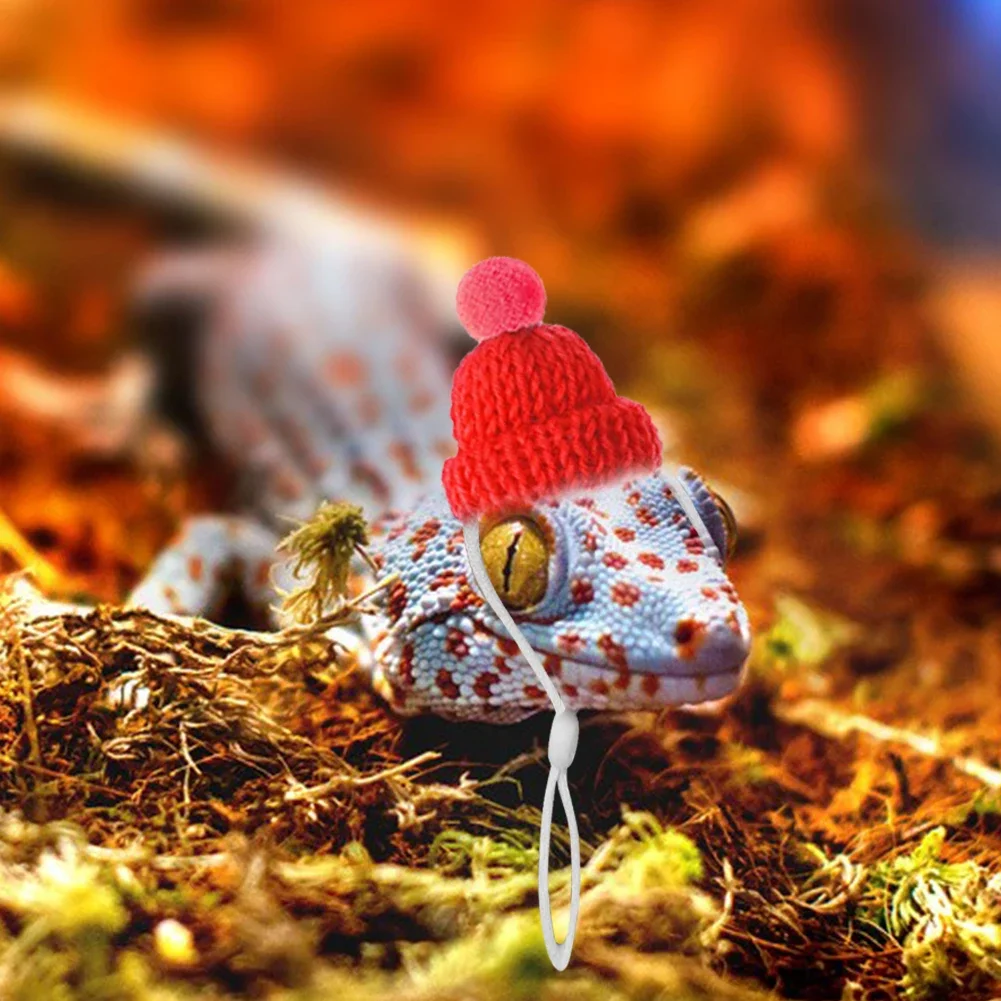 Snake Hat Guinea Pig Hat with Adjustable Chin Strap Bearded Dragon Hamster Hat for Chinchilla Small Animal Christmas Decoration