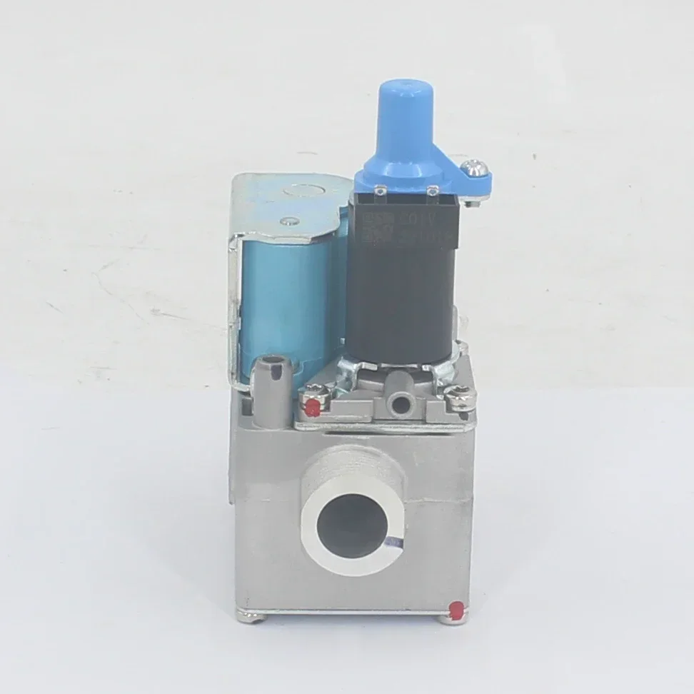 Boiler parts ERCO EBR2008N010301 24VDC Gas valve of the boiler Gas Water Heater Parts