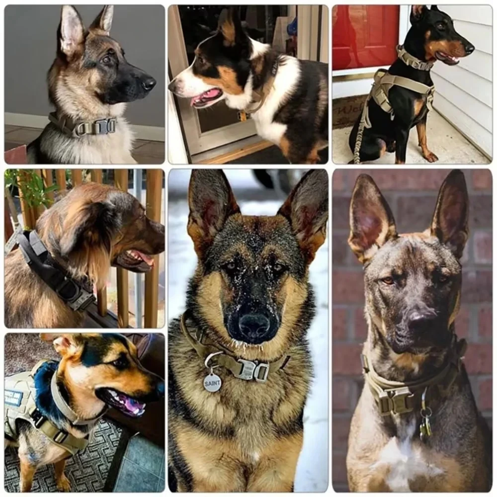 Collare per cani tattico della polizia militare regolabile Duarable Nylon German Shepard per accessori per animali domestici da addestramento a