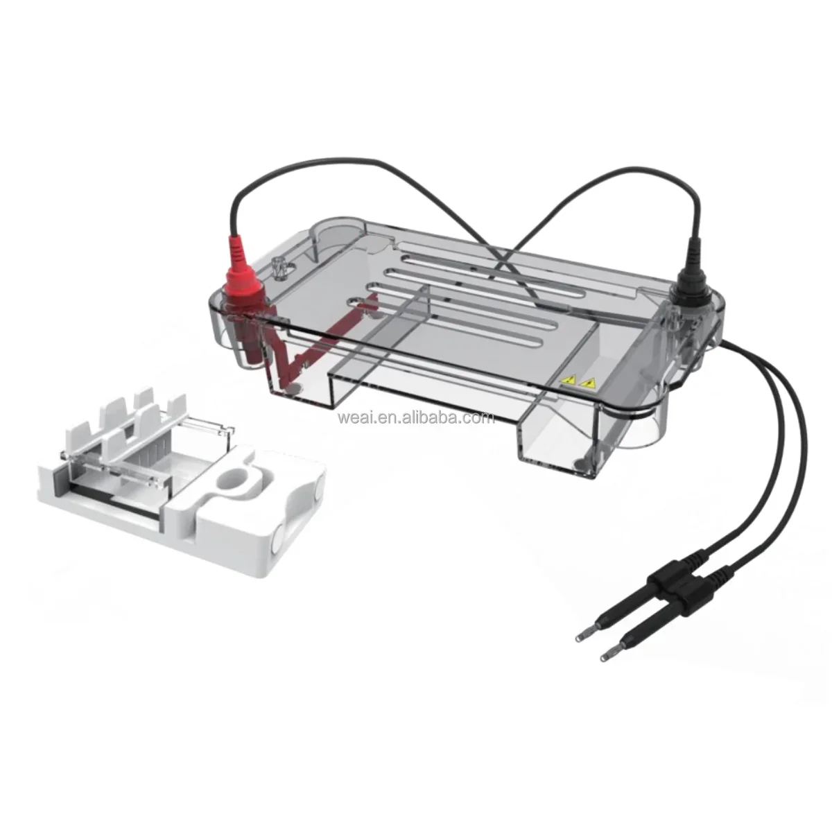 

WEIAI Biology Lab Agarose Gel Cell Electrophoresis Device Horizontal Nucleic Acid DNA RNA Gel Electrophoresis Apparatus System