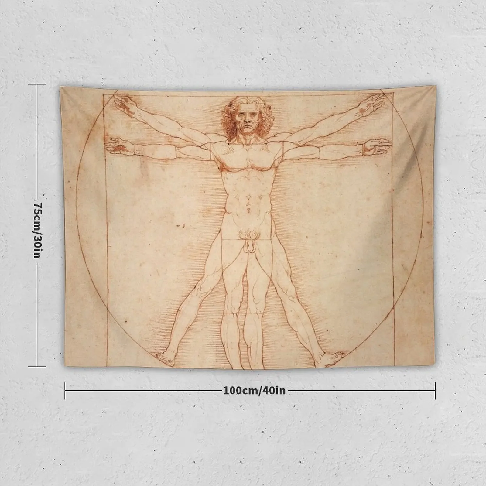 Vitruvian Man by Leonardo Da Vinci (1490) Tapestry Wall Tapestries Home Decor Aesthetic Tapestry