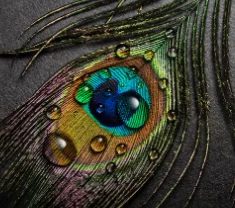 

808 diode laser handle hair removal hand tool macro channel nd yag IPL power supply screen machine depilatory beauty spare part