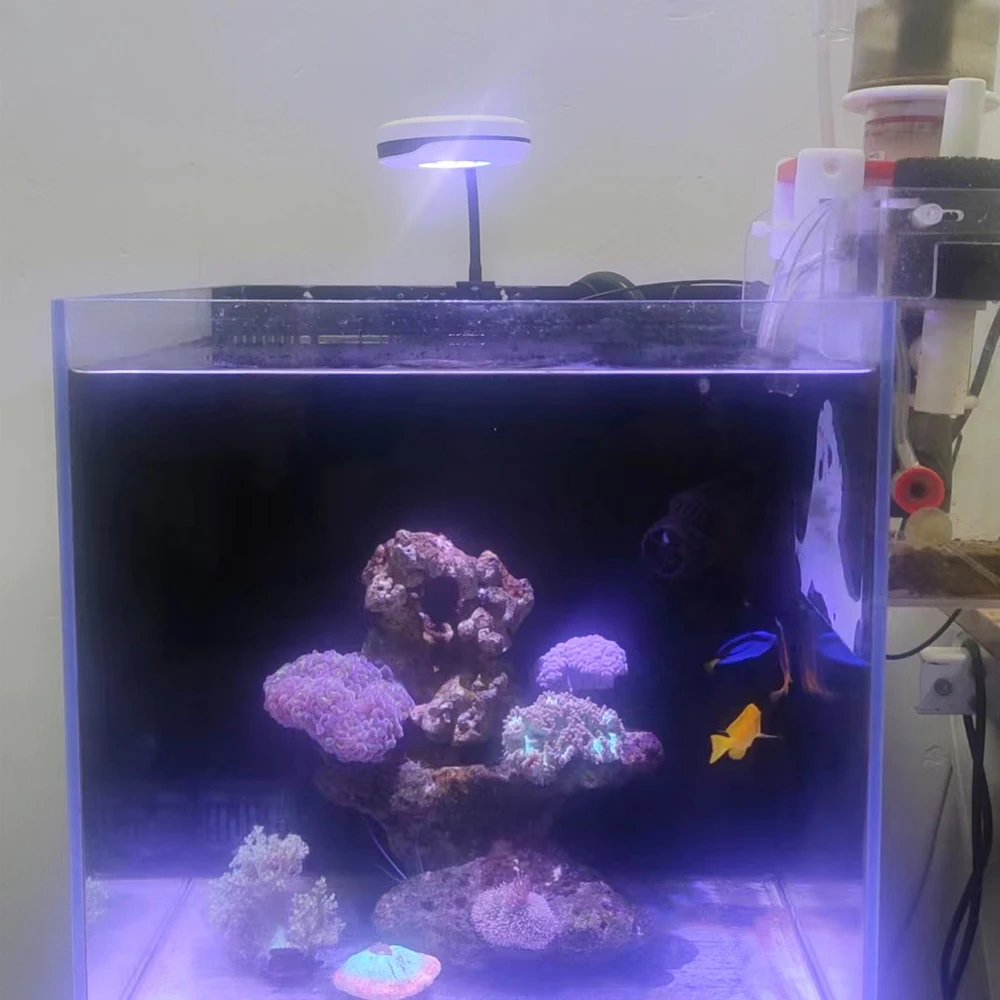 Spectra 20W LED Aquarium Light Nano SP20 Full Spectrum Aquarium Light For Salt Water Fish Tank 12inch Light salt fresh refugium