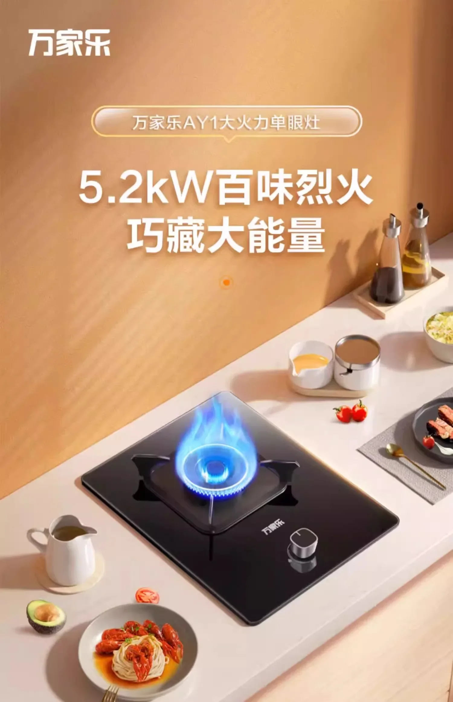 

Vanward Gas Stove Single Burner Kitchen Gas Cooktop for Natural LPG Gas Built in Desktop BDW