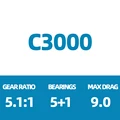 C3000