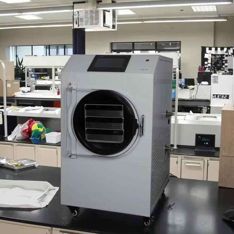 

Дегидраторы для пищевых фруктов, домашняя сублимационная сушилка для продажи, лабораторный лиофилизатор, высококачественная мини-сушильная машина