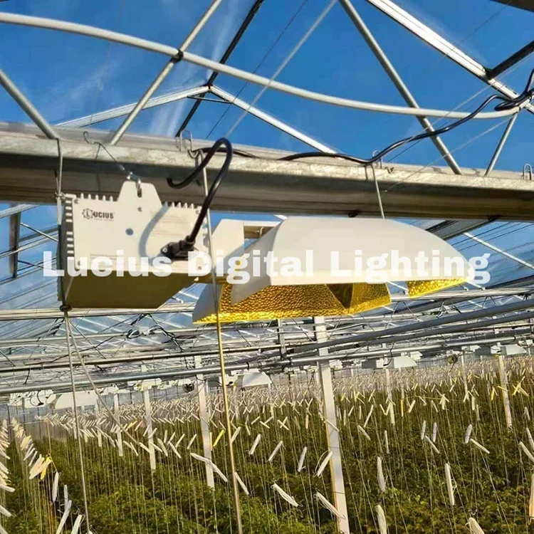 Usa Stock Dual 500W…