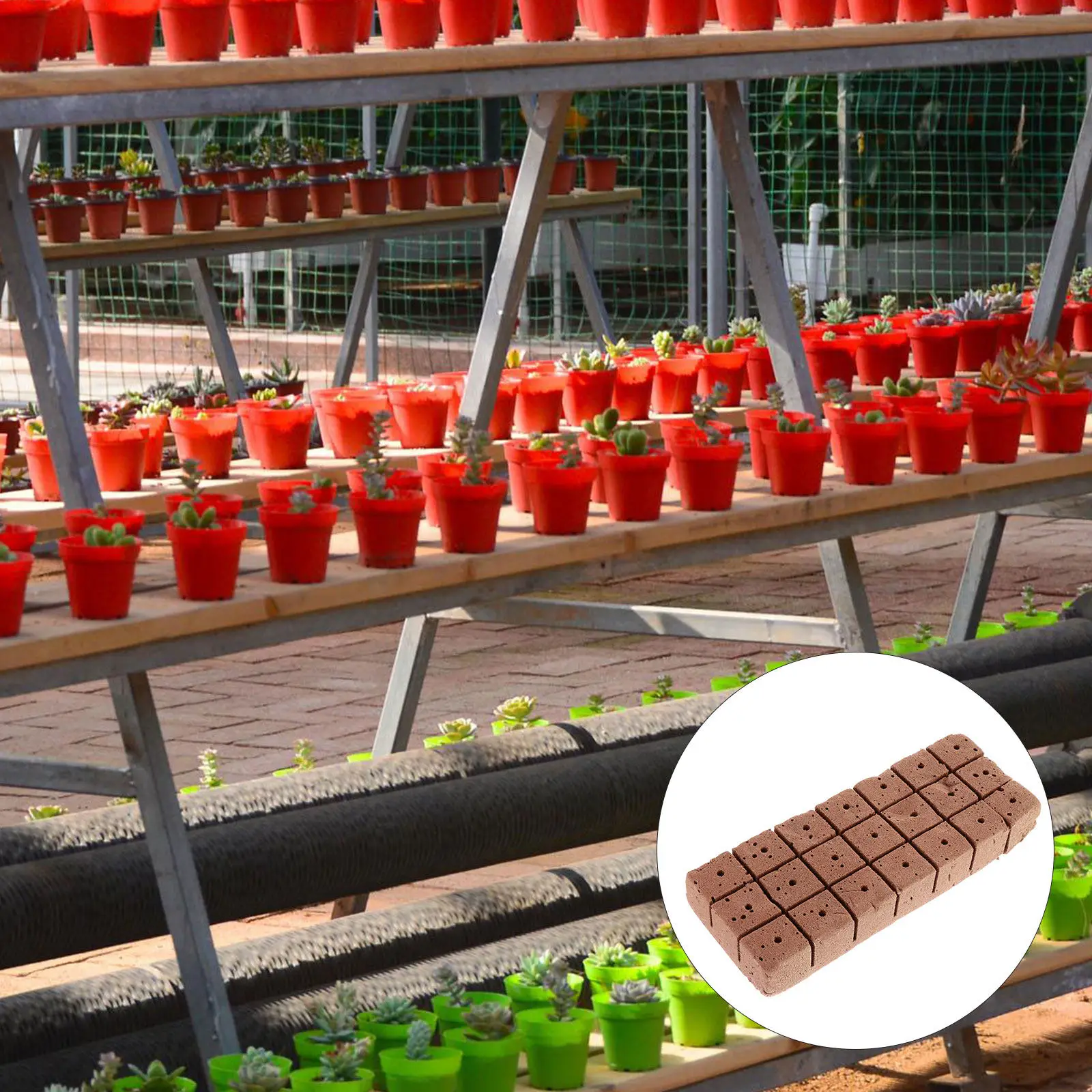 20Pcs Nursery Block High Molecular Polymer Seedlings Matrix Block for Plant Growth Rapid Breeding Home Planting Gardening