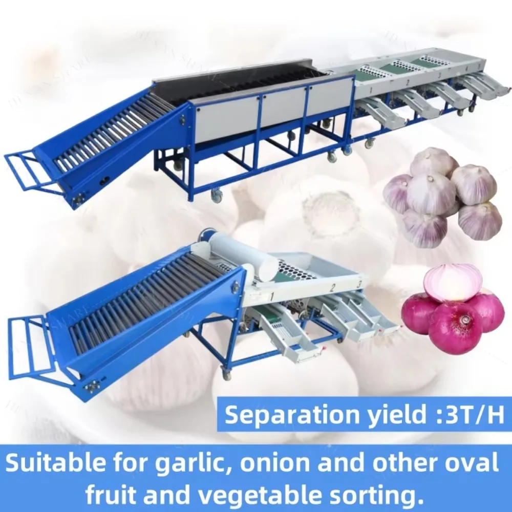 Automatic Sorting Machine Onion Potato Grader 6 Fruit Vegetable Tomato Garlic Sorting and Grading Machine
