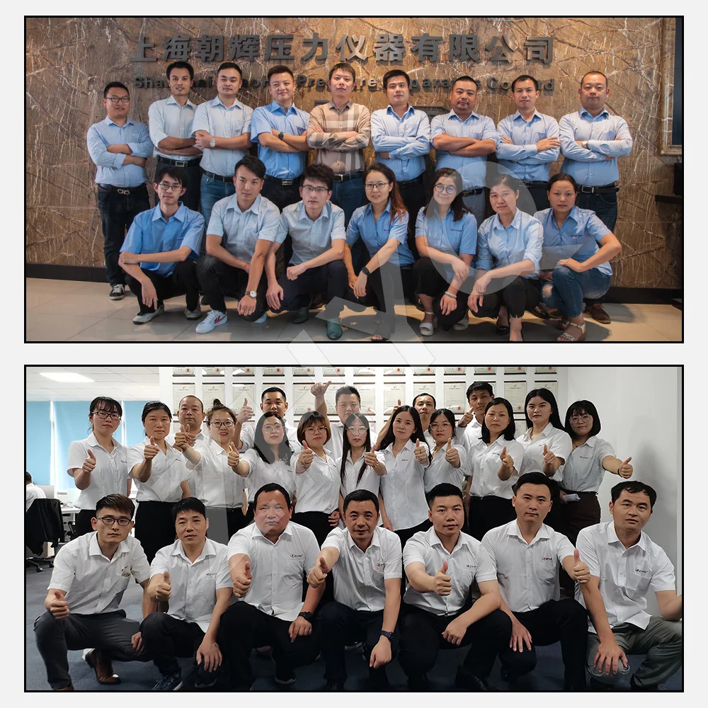 Indikator Tekanan Panel Digital N70