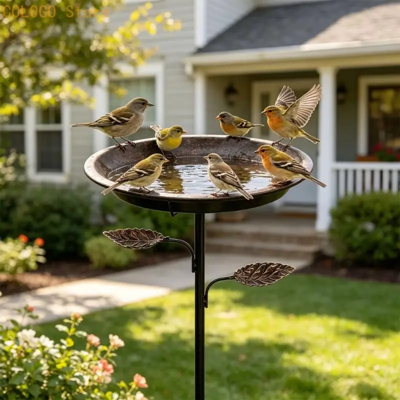 Attractive Iron Garden Piece double Purpose Bird Bath And Feeder With Easy arrange 30Cm Height D0LD