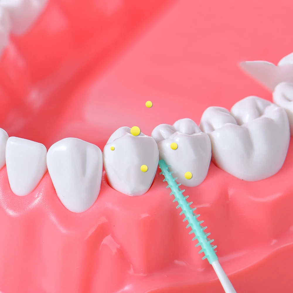 150Pcs Interdental Brushes Set - Soft Rubber Tooth Cleaners for Gaps  Braces Dental Hygiene Oral Teeth Cleaning Tools