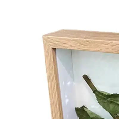 Collectibles Display Home Decor Wedding Keepsake 3D Shadow Box Frame Keepsake Frame Protective Glass Front Timeless Design