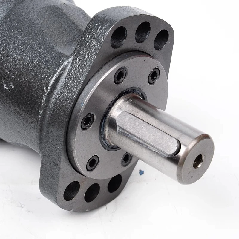 Hydraulic Motor High Torque  Machine Special 32 Axis Injection Molding Machine Sol Pump Car Special Motor