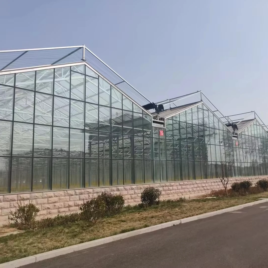 

Customized greenhouseVenlo Commercial Multispan Glass Greenhouse for Vegetables Growing with Turnkey project