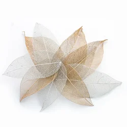 30PCS Natural Leaf Vein Petals Dried Flowers Bookmarks Nail Art Accessories for Wedding Home Decor DIY Candles Handmade Material