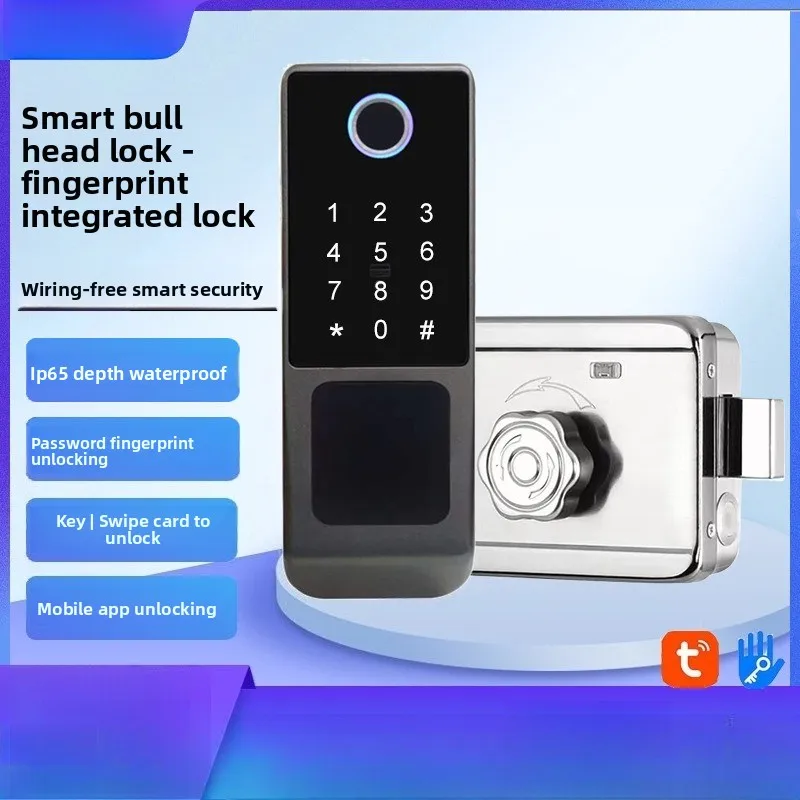 Smart Fingerprint Lock Old-fashioned Iron Door Password Lock Anti-theft Door Stainless Steel Door Multi-language Graffiti